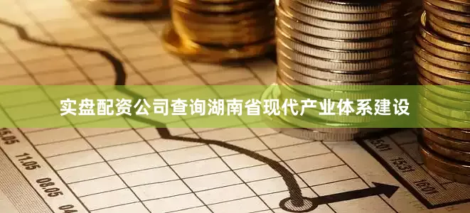 实盘配资公司查询湖南省现代产业体系建设