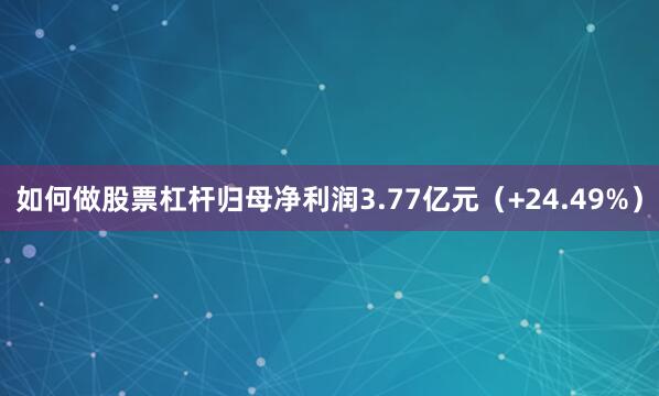 如何做股票杠杆归母净利润3.77亿元（+24.49%）